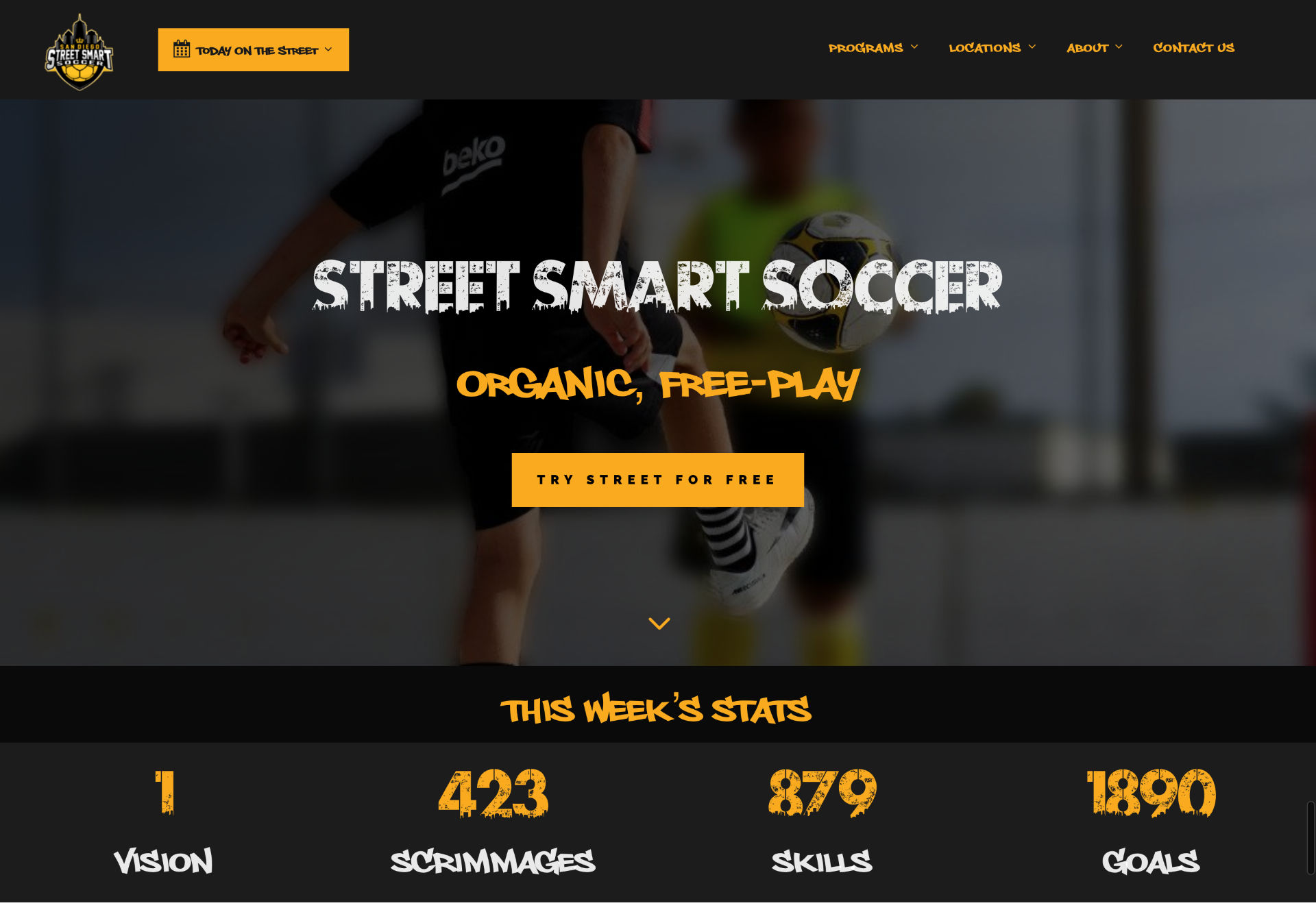 Organic Free Play Street Soccer Street Smart Soccer